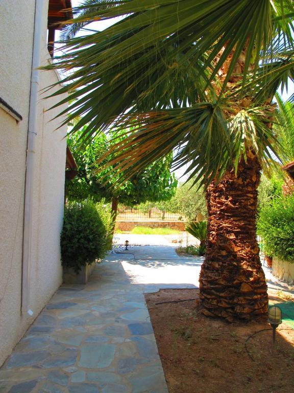 Stefanie Studios Aegina Eksteriør billede